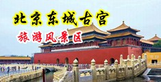 骚逼啊啊啊啊视频中国北京-东城古宫旅游风景区